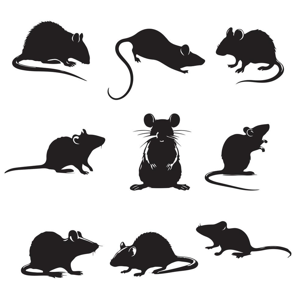 Rat and mouse collection silhouette on white background vector