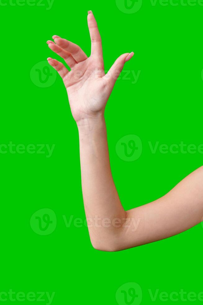 Female Hand Making Gesture Against Green Screen photo