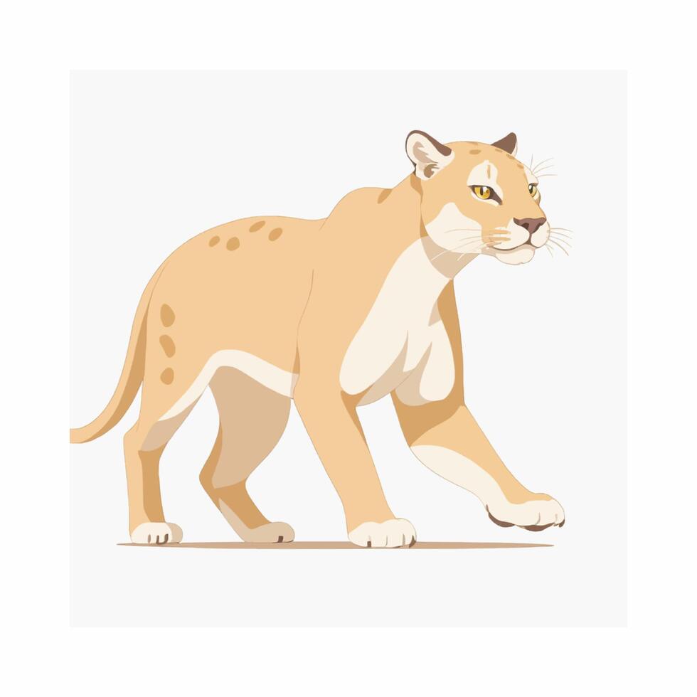 Cougar Wildlife Nature Animal Predator vector