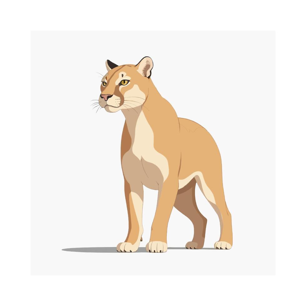 Stealth Cougar Nature Animal Predator vector