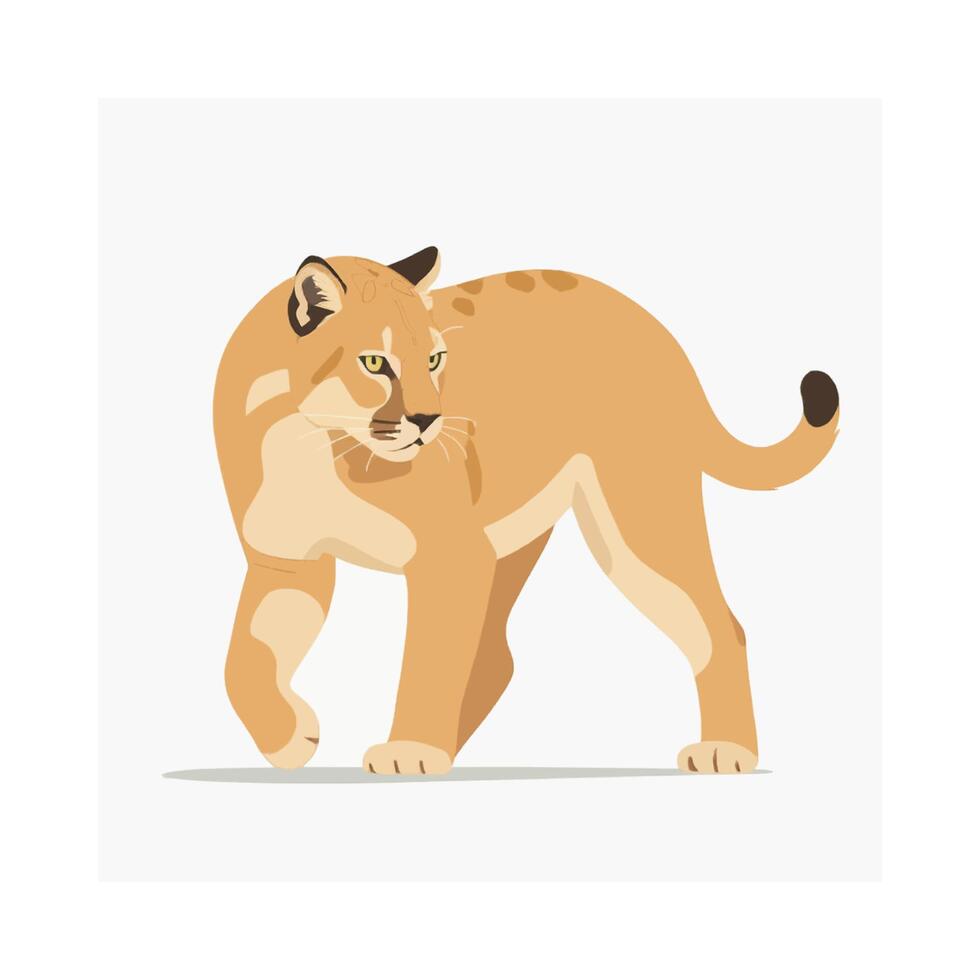 cougar feline wild animal nature cat vector