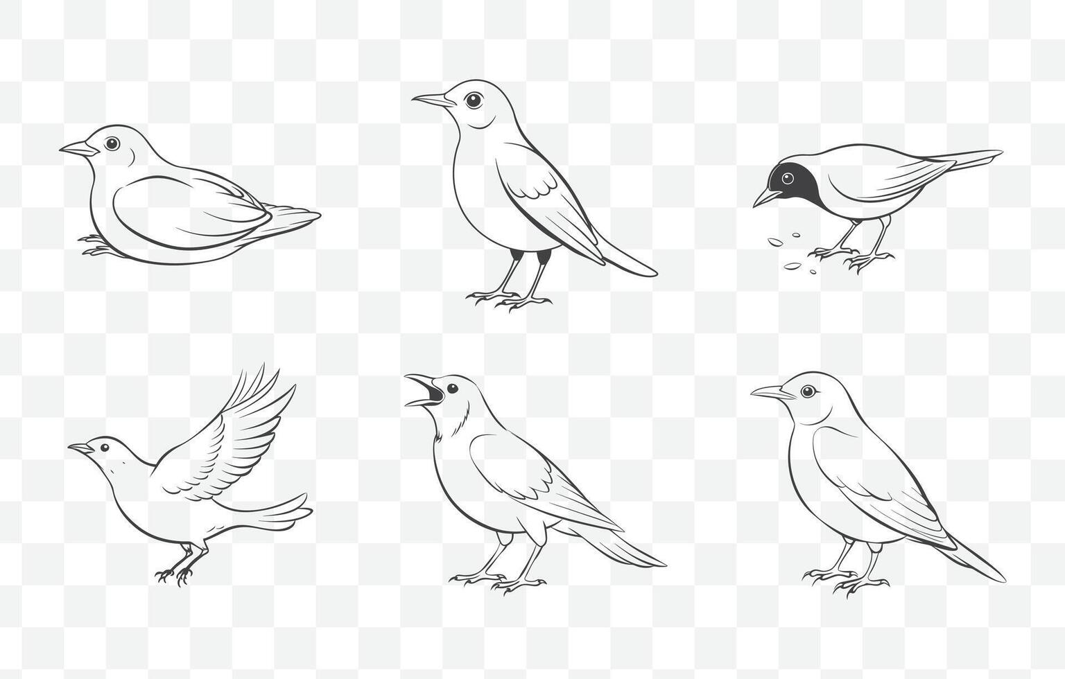 Blackbird Line Art Set Detailed Illustrations of Blackbirds in Various Poses and Styles vector