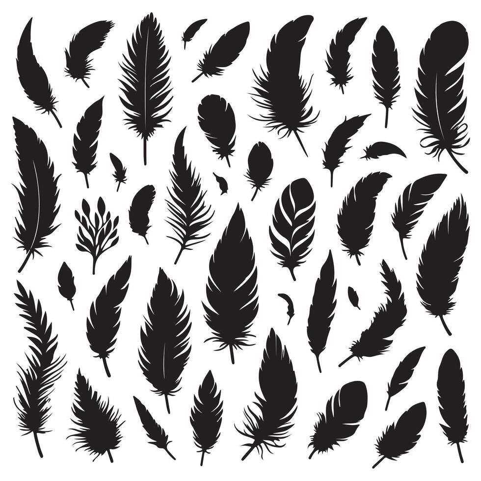bird feather, collection silhouette on a white background vector