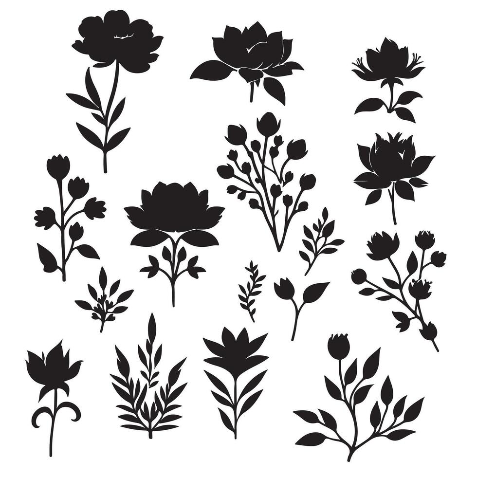 Silhouettes of blooming flowers set with white background vector
