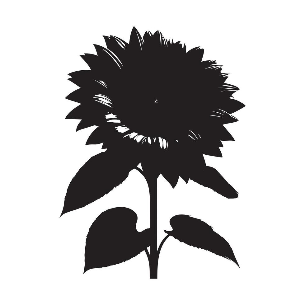 black Sunflower with white background vector