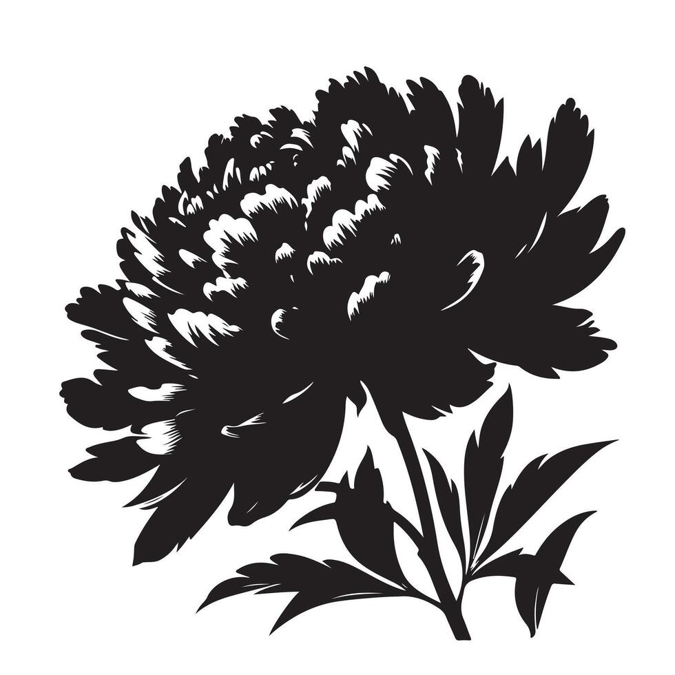 Peonie flower silhouette with white background vector