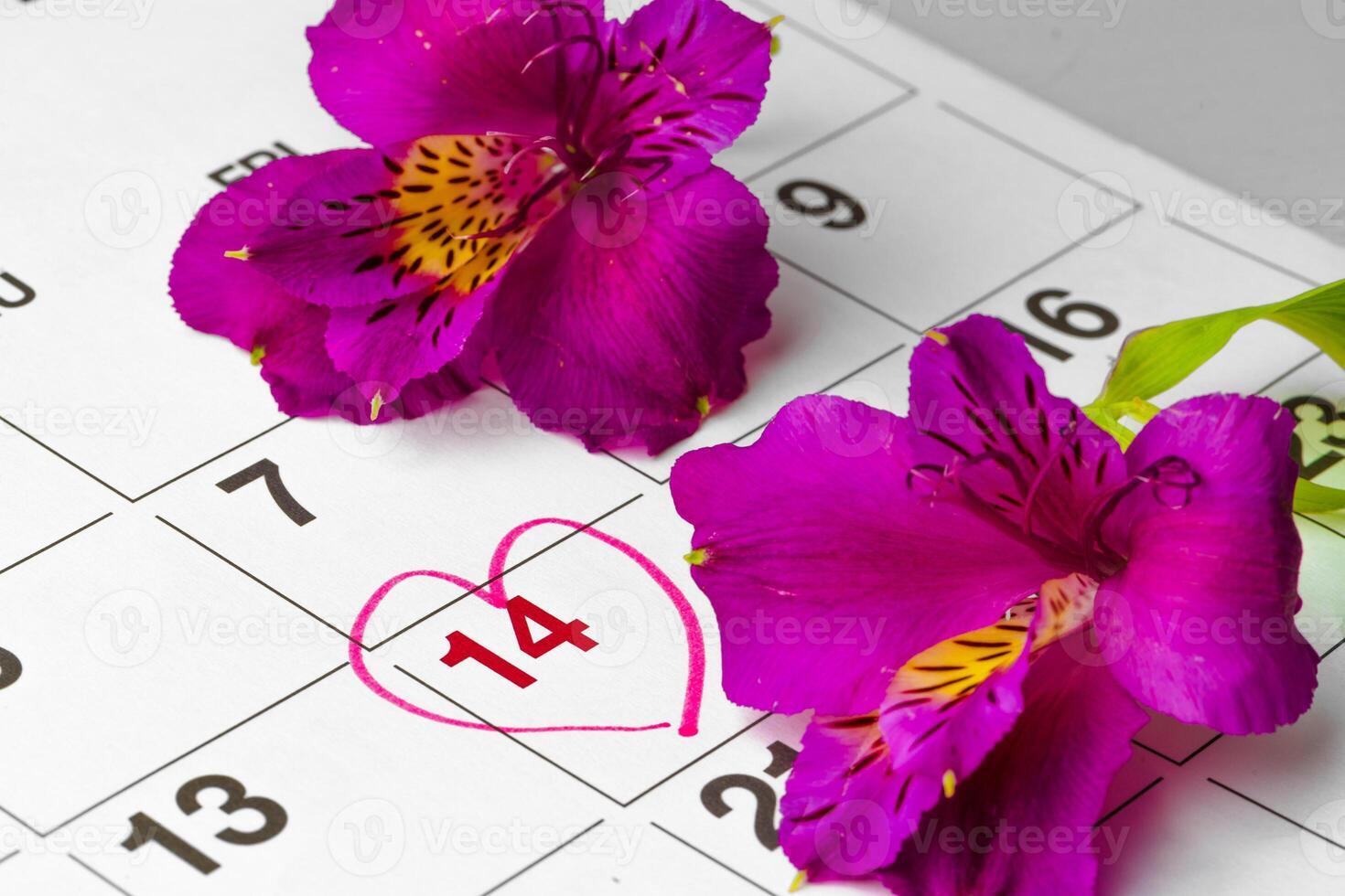 Valentines's day concept. Fresh flowers with number of 14 photo