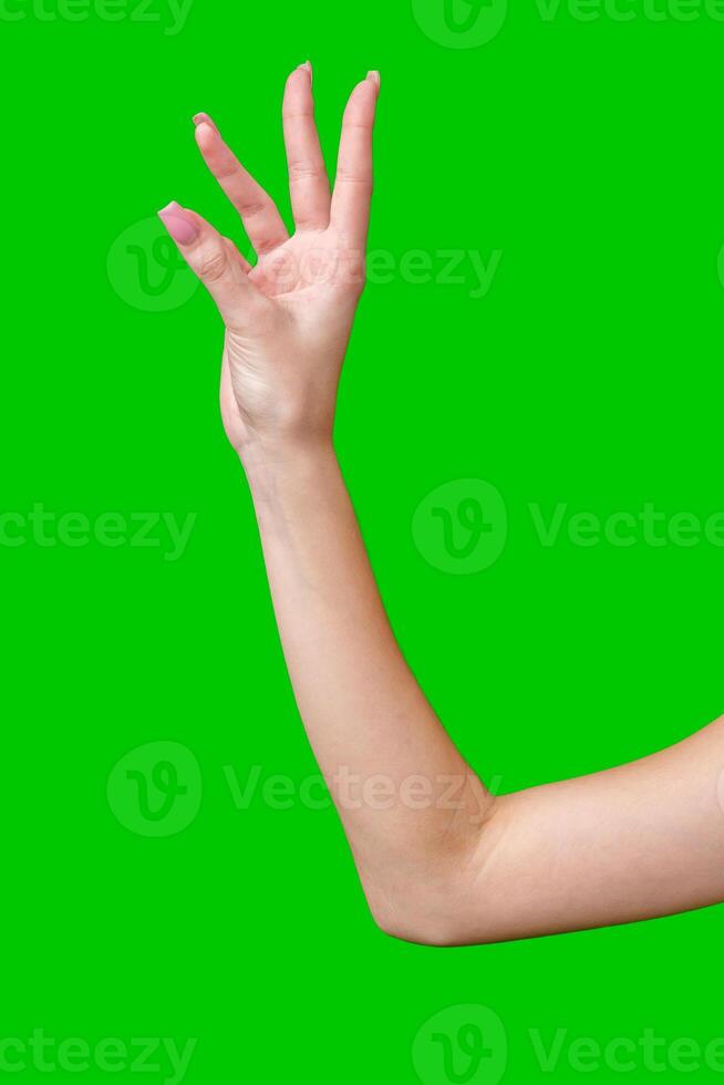 Female Hand Making Gesture Against Green Screen photo
