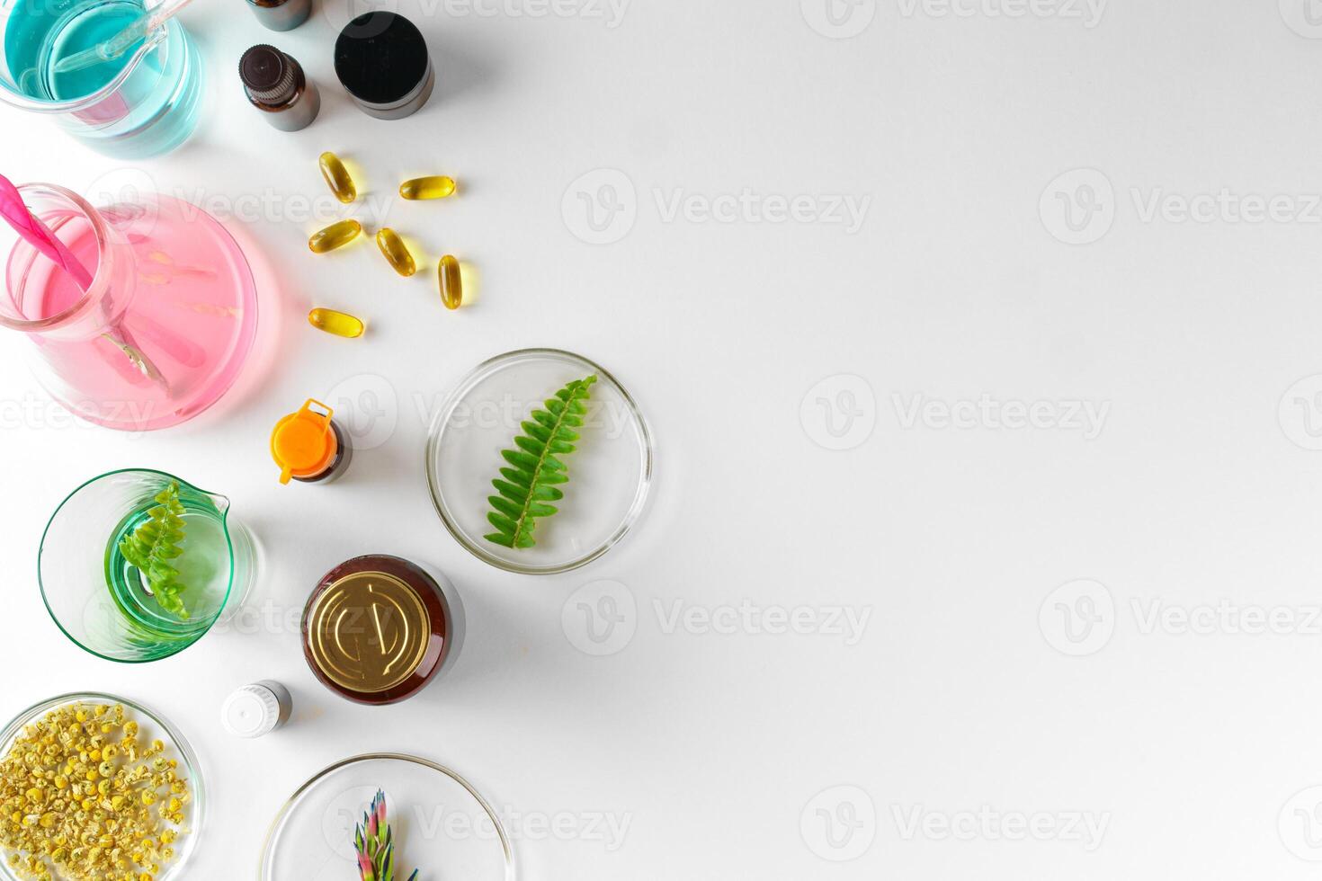 Making herbal dietary supplement in lab with plant leaves. Health and beauty concept photo