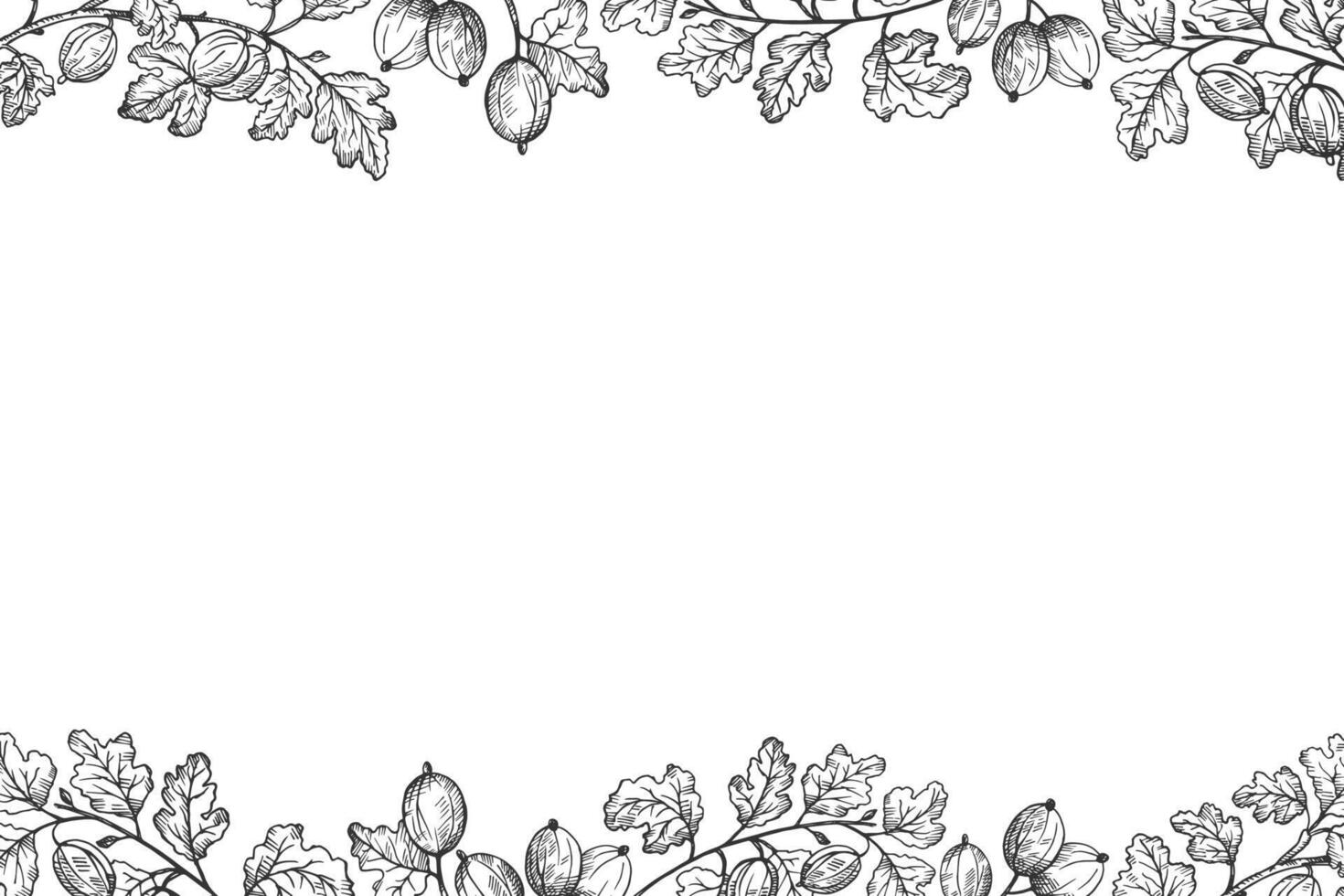 Banner with Gooseberry for text. Hand drawn engraved ink background of berry harvest, branches and fruits of sweet gooseberries. Design for label, logo, paper, sign, card vector