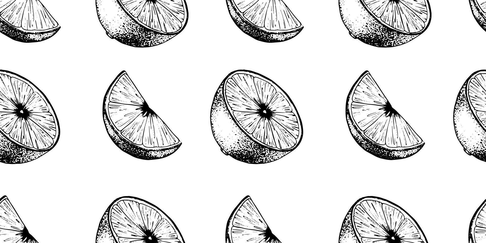 Adobe Illustrator ArtworkSeamless pattern of Lemon Slices. Hand drawn Sketch illustration of Lemon pulp. Black ink outline of citrus fruit. Background for menu, package, cosmetic, textile vector