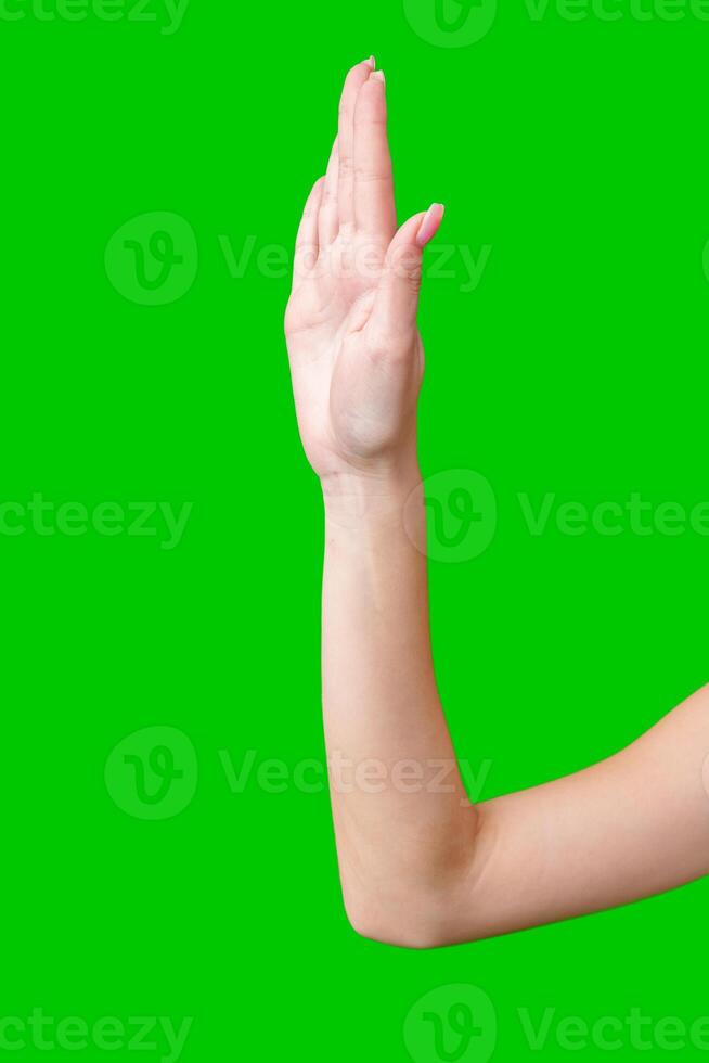 Female Hand Making Gesture Against Green Screen photo