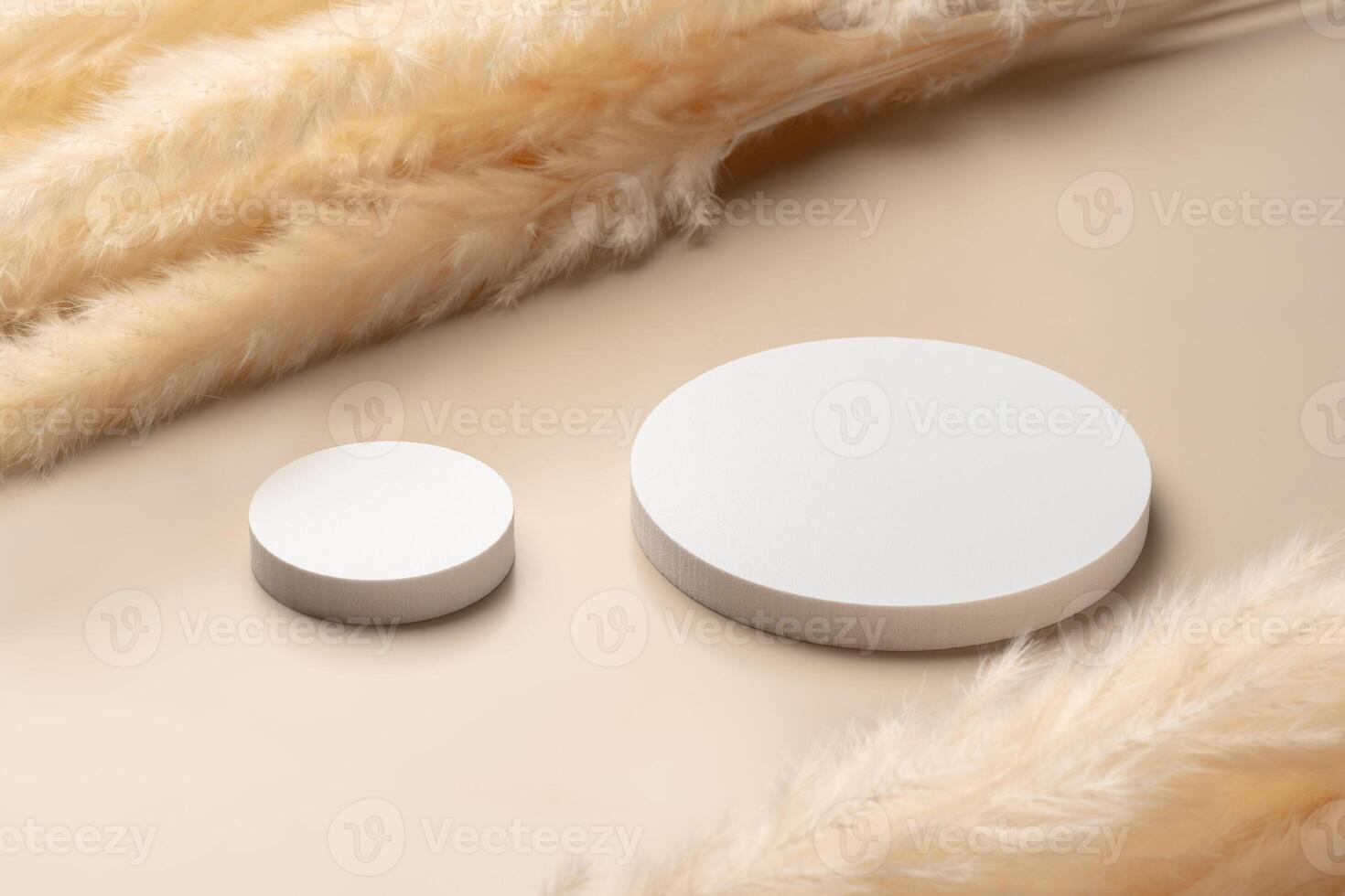 Beautiful Arrangement of Dried Grass and Circular Object on Soft Beige Background photo