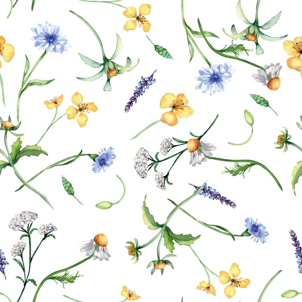 Floral seamless pattern with medicinal plants in watercolor isolated on white background. Yarrow. celandine botanical print in sketch. Bur marigold, cornflower hand drawn. Design for textile, package. vector