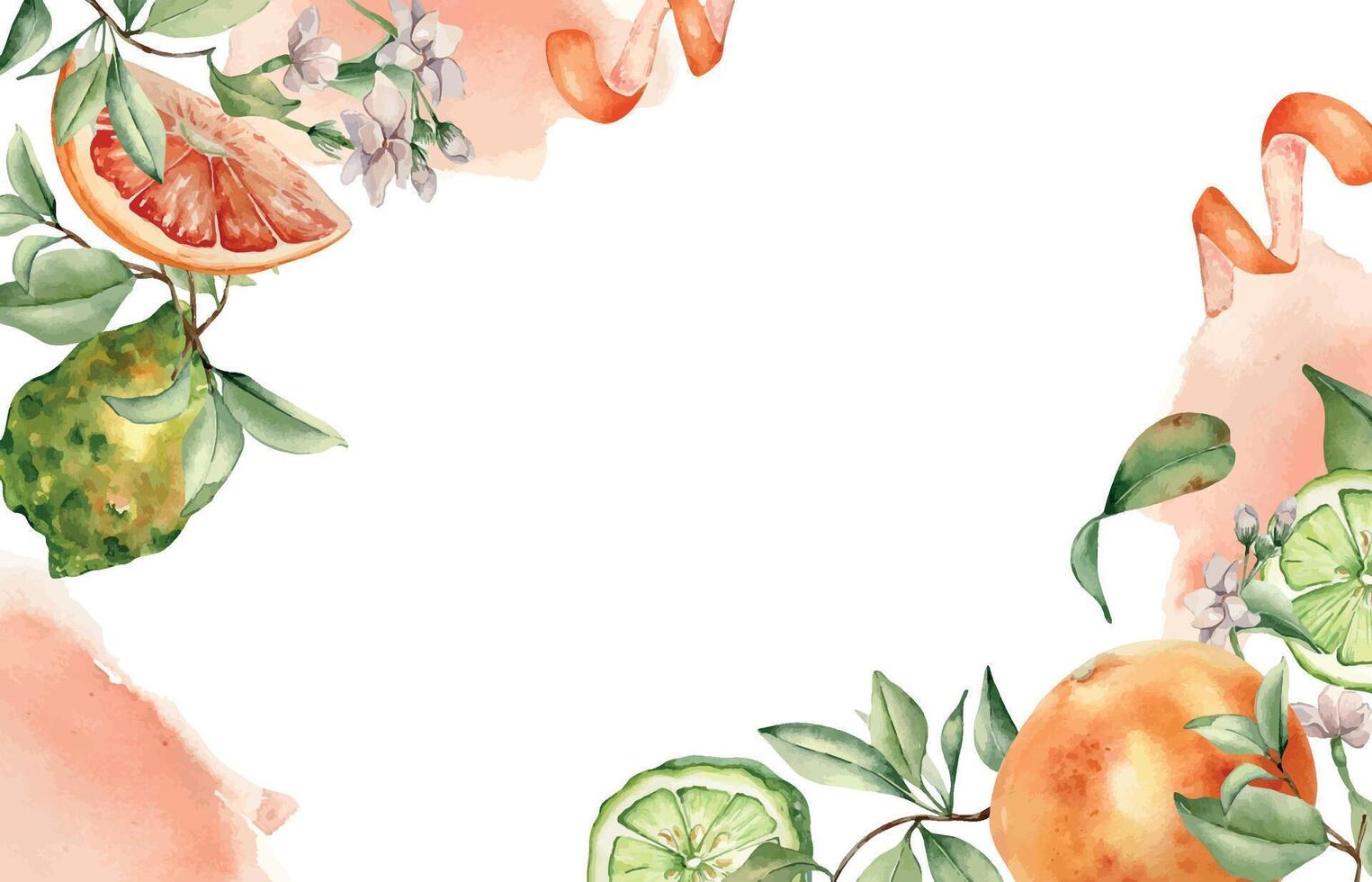 Bergamot and grapefruit ripe citrus mixed and jasmine flowers, watercolor stroke isolated border. Hand drawn section fruits, leaves and white flowers botanical sketch for package, summer floral card vector