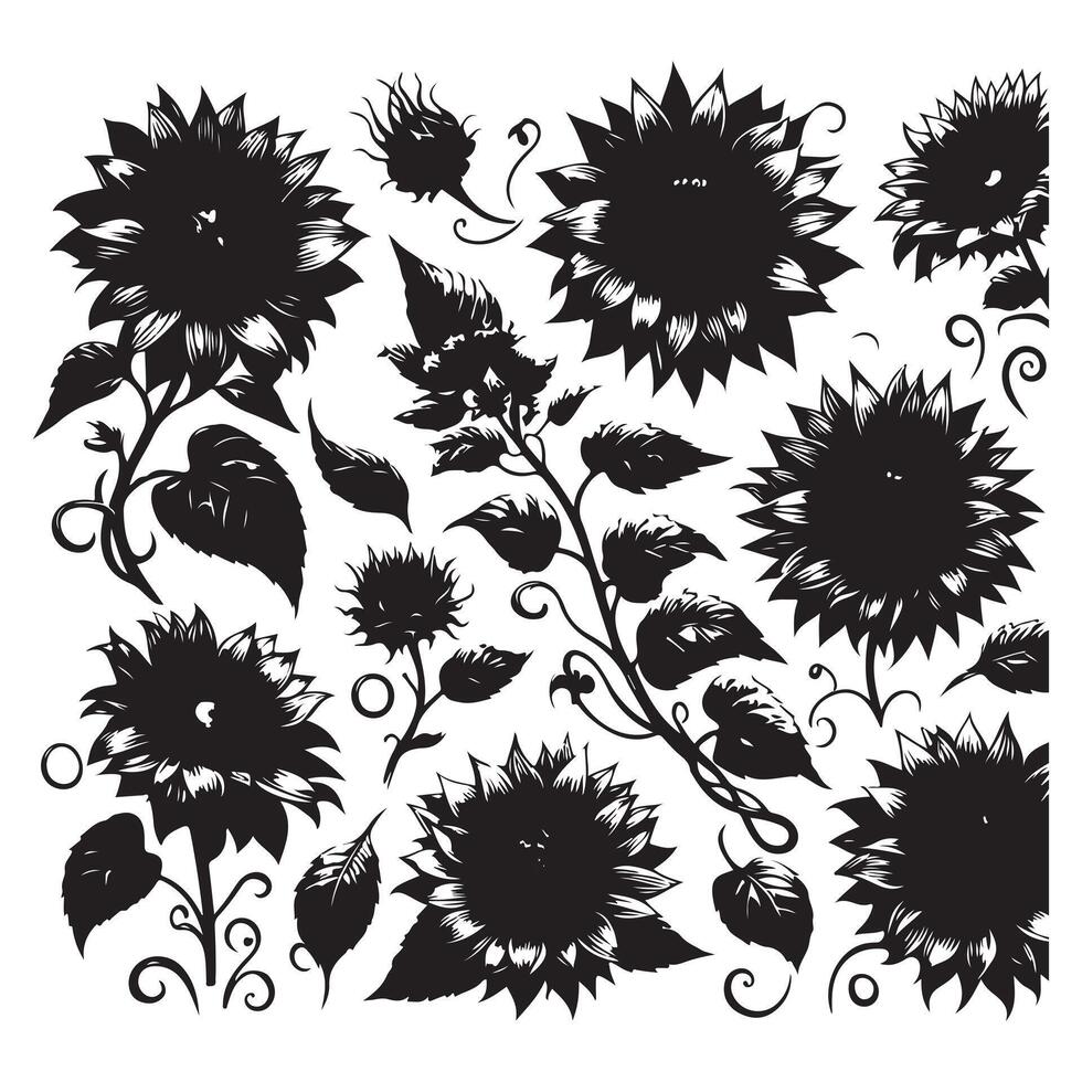 black Sunflower set with white background vector