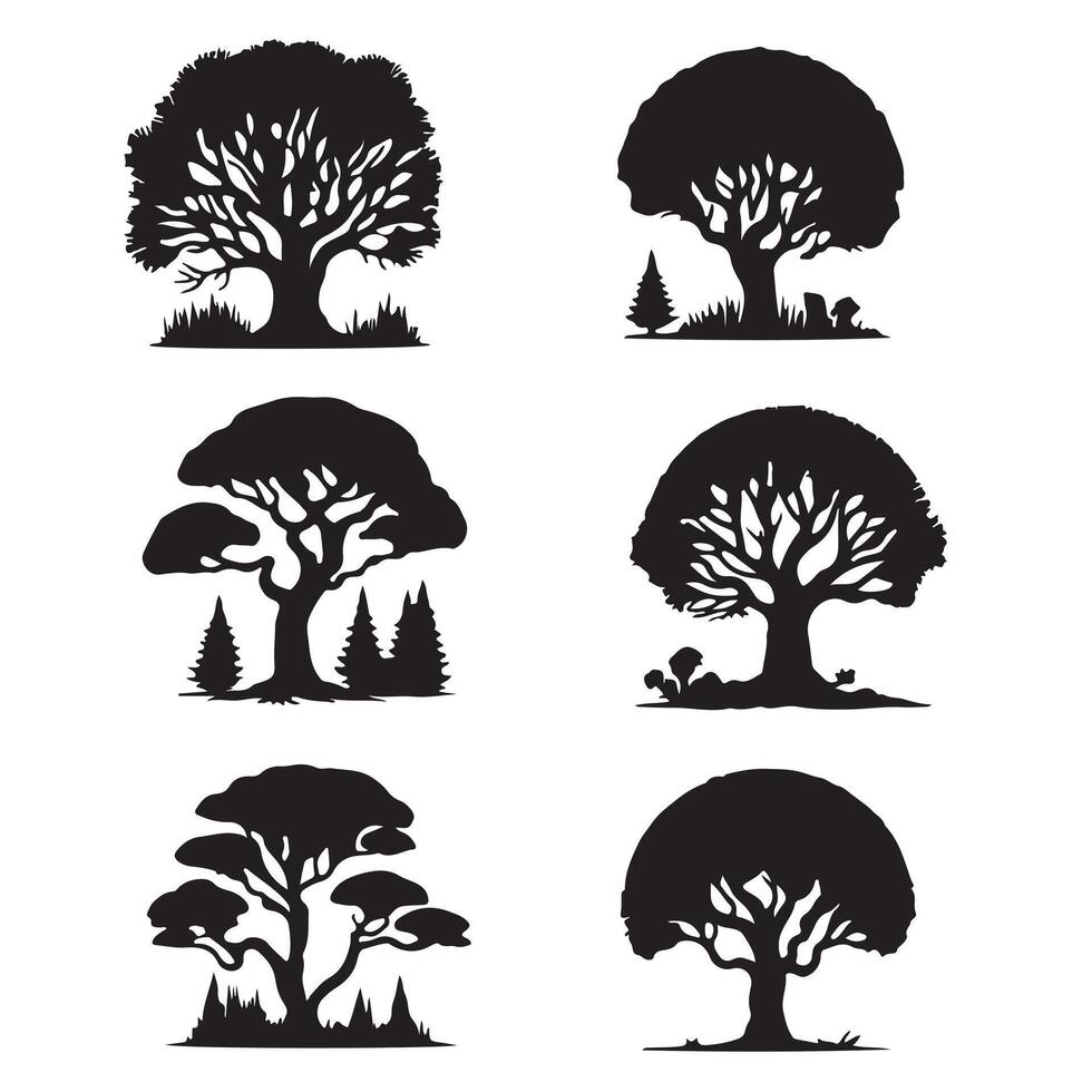 various deciduous trees silhouettes on the white background vector