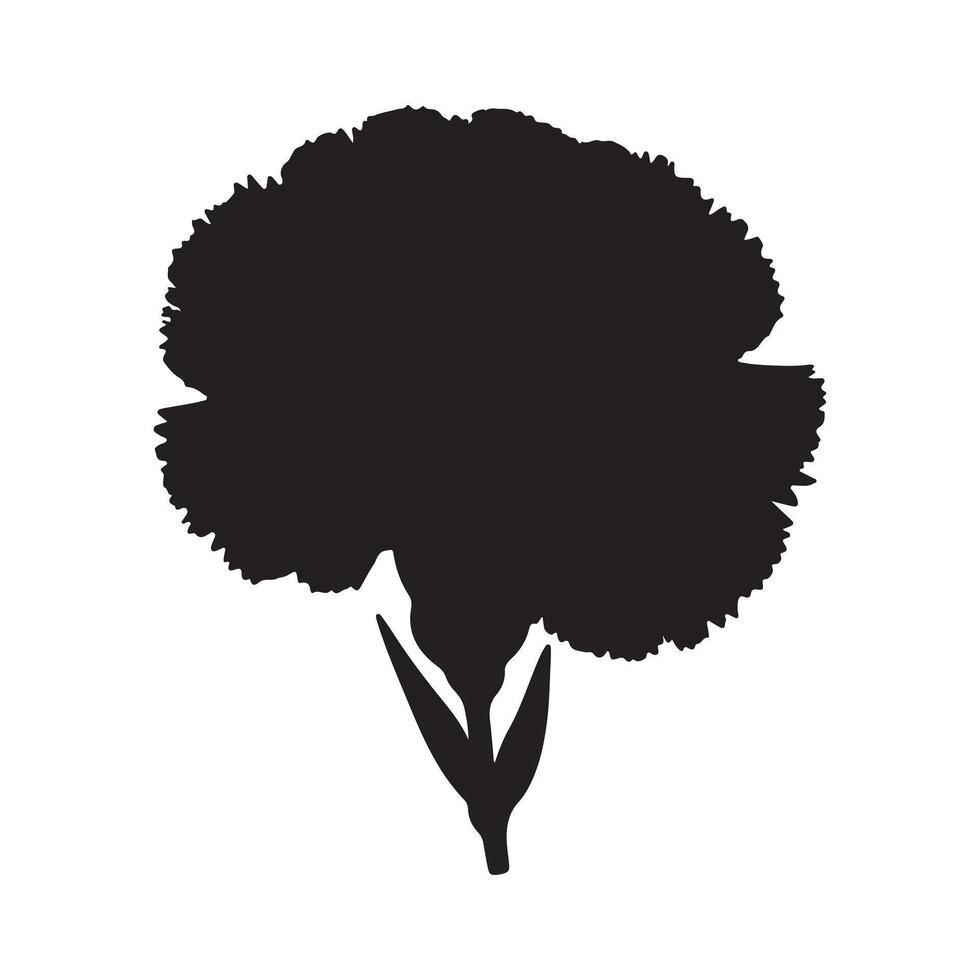 black Carnation flower silhouette with white background vector