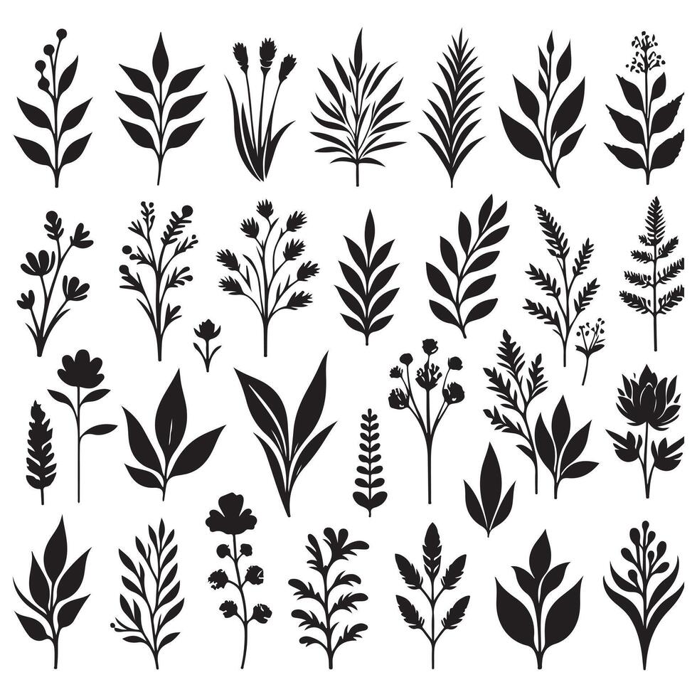 Silhouettes of plants set with white background vector