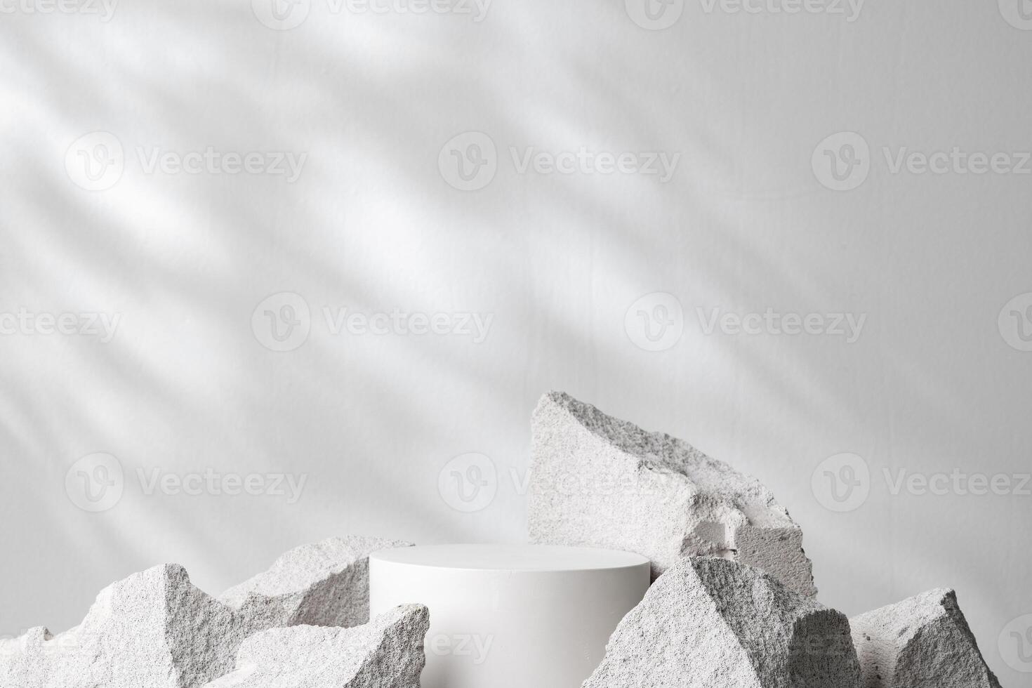 A minimalistic display featuring a smooth white cylinder surrounded by rough gray stone fragments photo