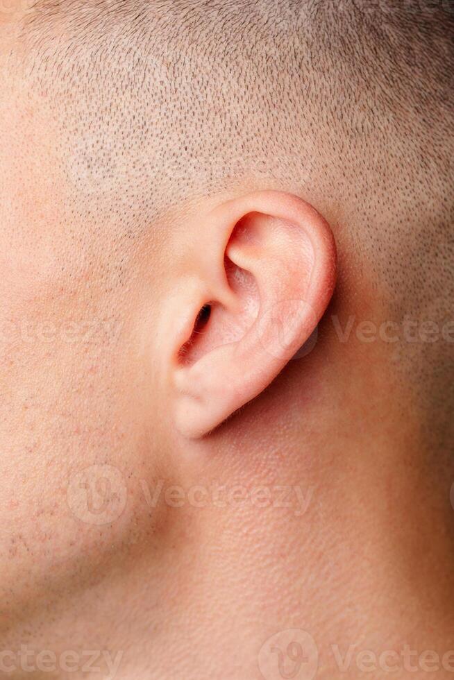View of Male Ear and Haircut With Skin Texture Under Natural Light photo