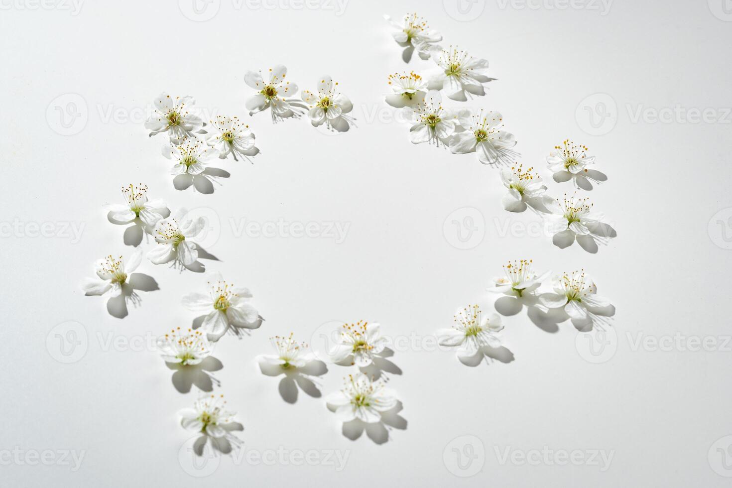 Delicate White Flowers Arranged Artistically on Light Background During Soft Afternoon Light photo