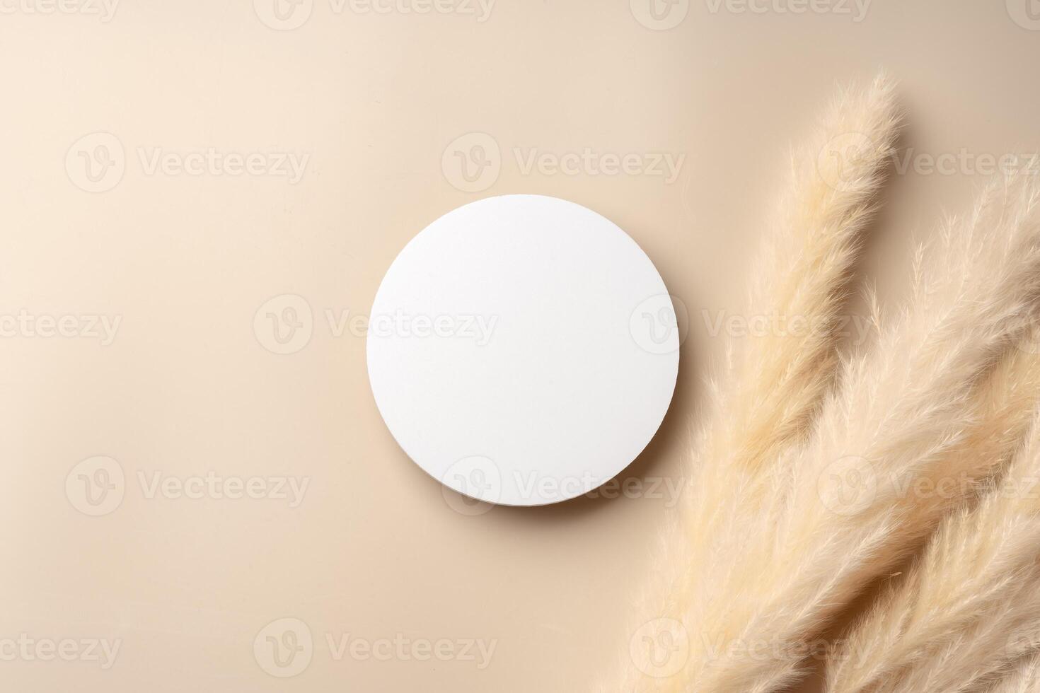 Beautiful Arrangement of Dried Grass and Circular Object on Soft Beige Background photo