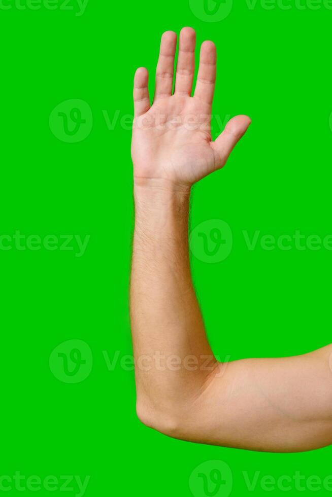 Hand Raised in a Gesture of Greeting Against a Bright Green Background photo