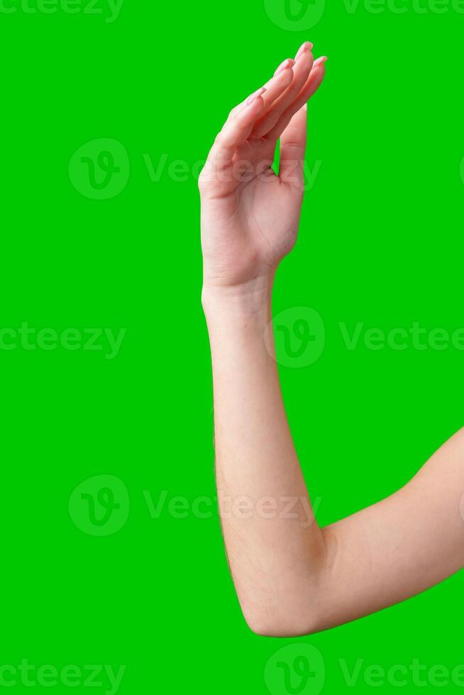 Female Hand Making Gesture Against Green Screen photo