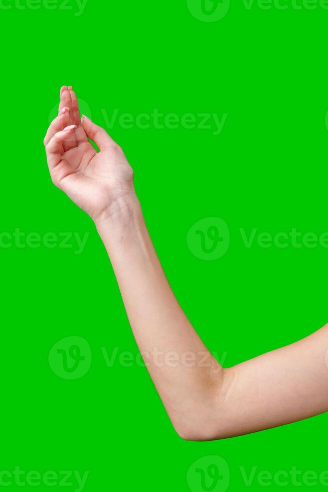 Female Hand Making Gesture Against Green Screen photo