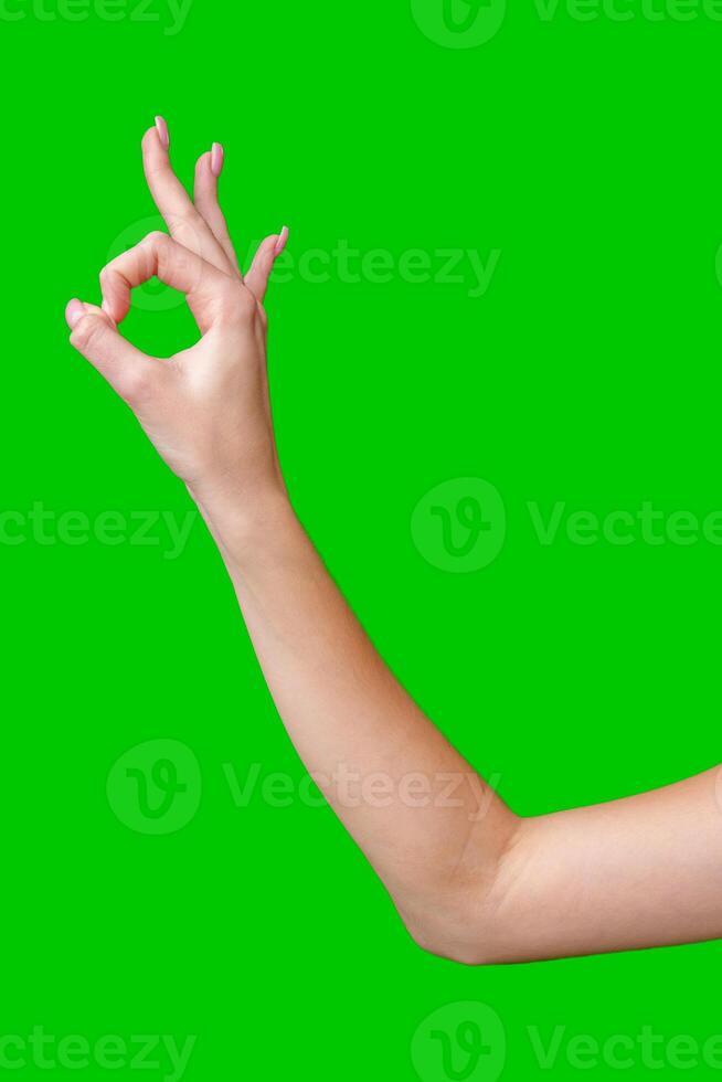 Close Up of a Woman's Hand Making the Okay Sign Against a Green Screen photo