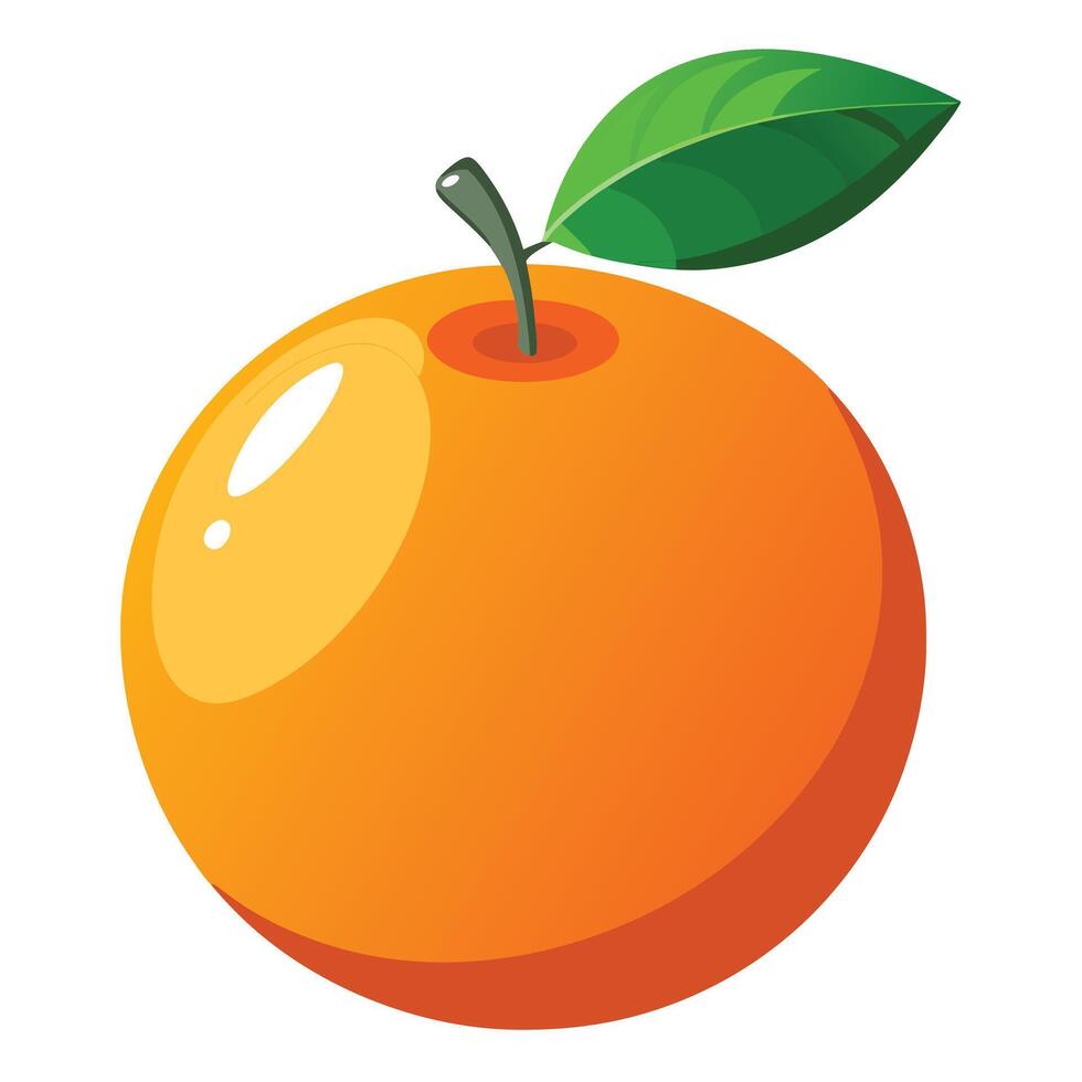 Orange fruit with a green leaf on it illustration vector