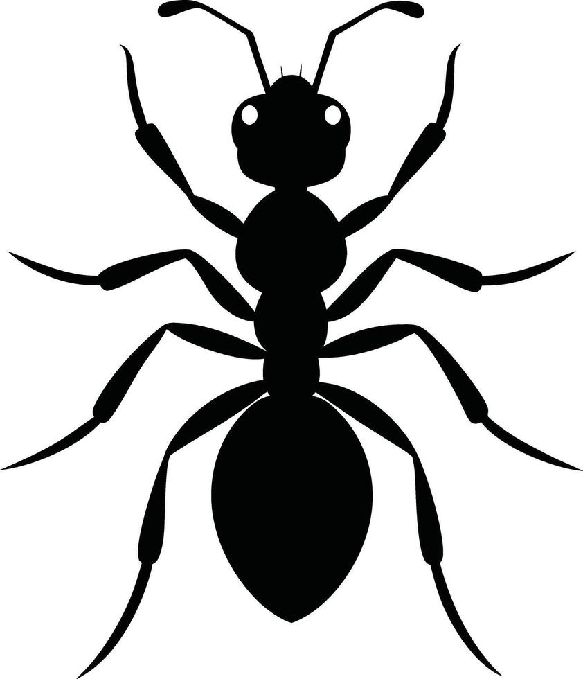 A drawing of black ants on a white background vector