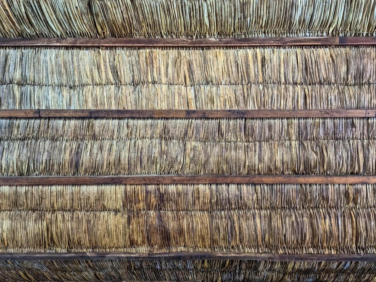 The surface of a garden wall made of reed grass. photo