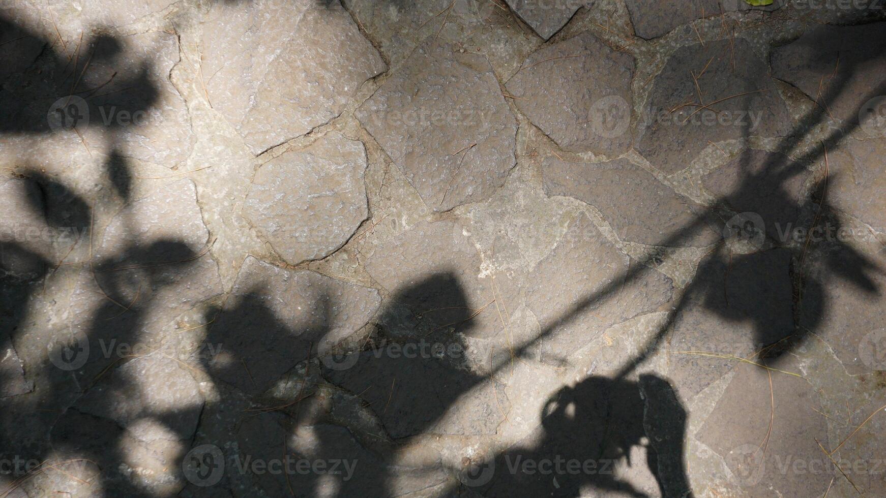 Shadow of tree leaves on the stone wall. Abstract natural background. photo