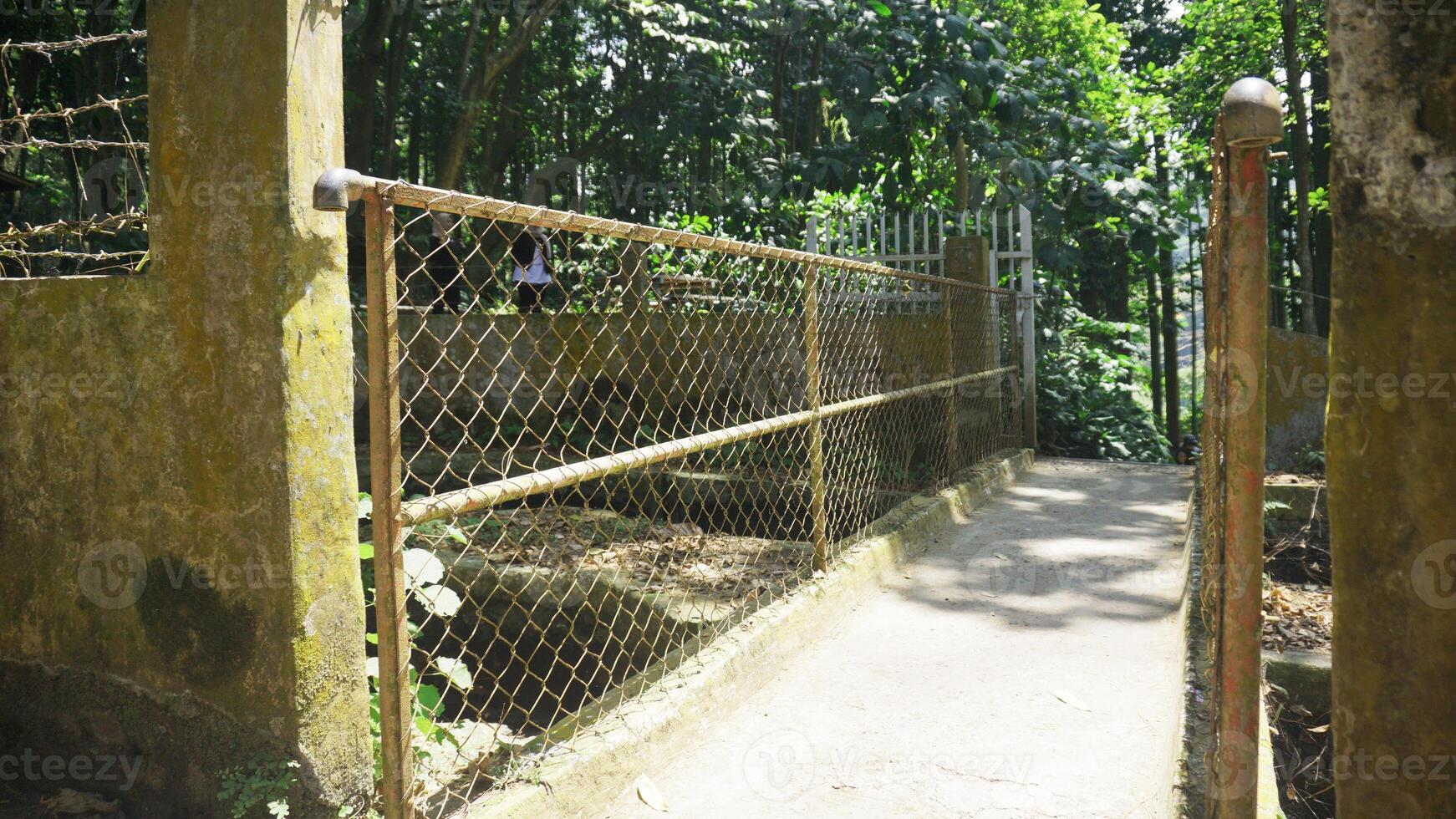 The old bridge in the park with a metal fence at sunny day photo