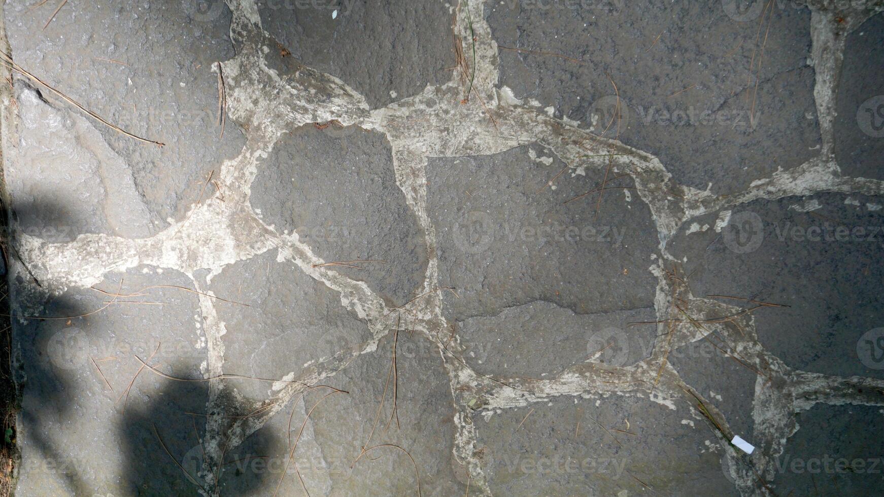Shadow of the tree on the stone floor. Abstract background for design. photo