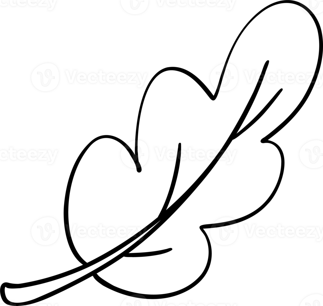 Cute fall leaf Girly Coquette Cartoon png