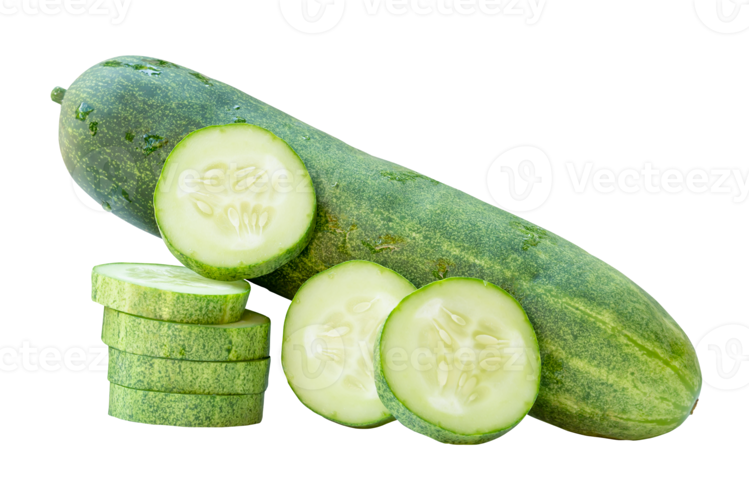Side view of fresh green cucumber with slices in circle shape in stack isolated with clipping path in file format png