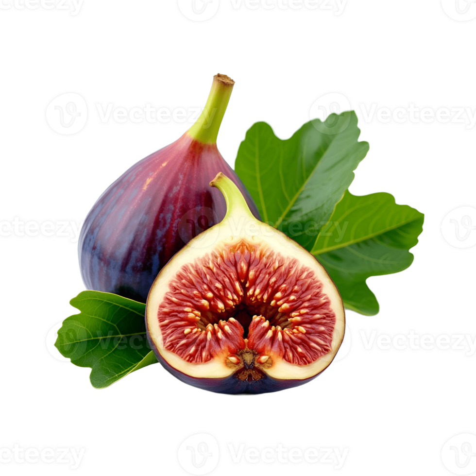 realistic figs with leaves png