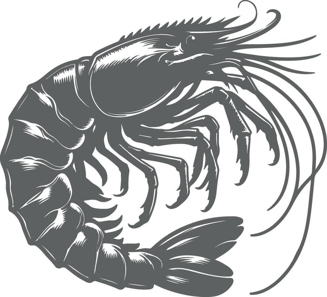 Sea shrimp icon vector