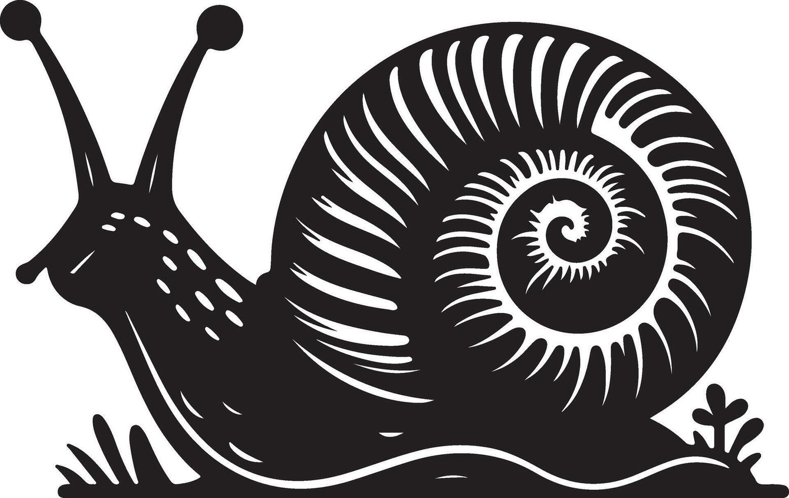 Slow moving snail vector