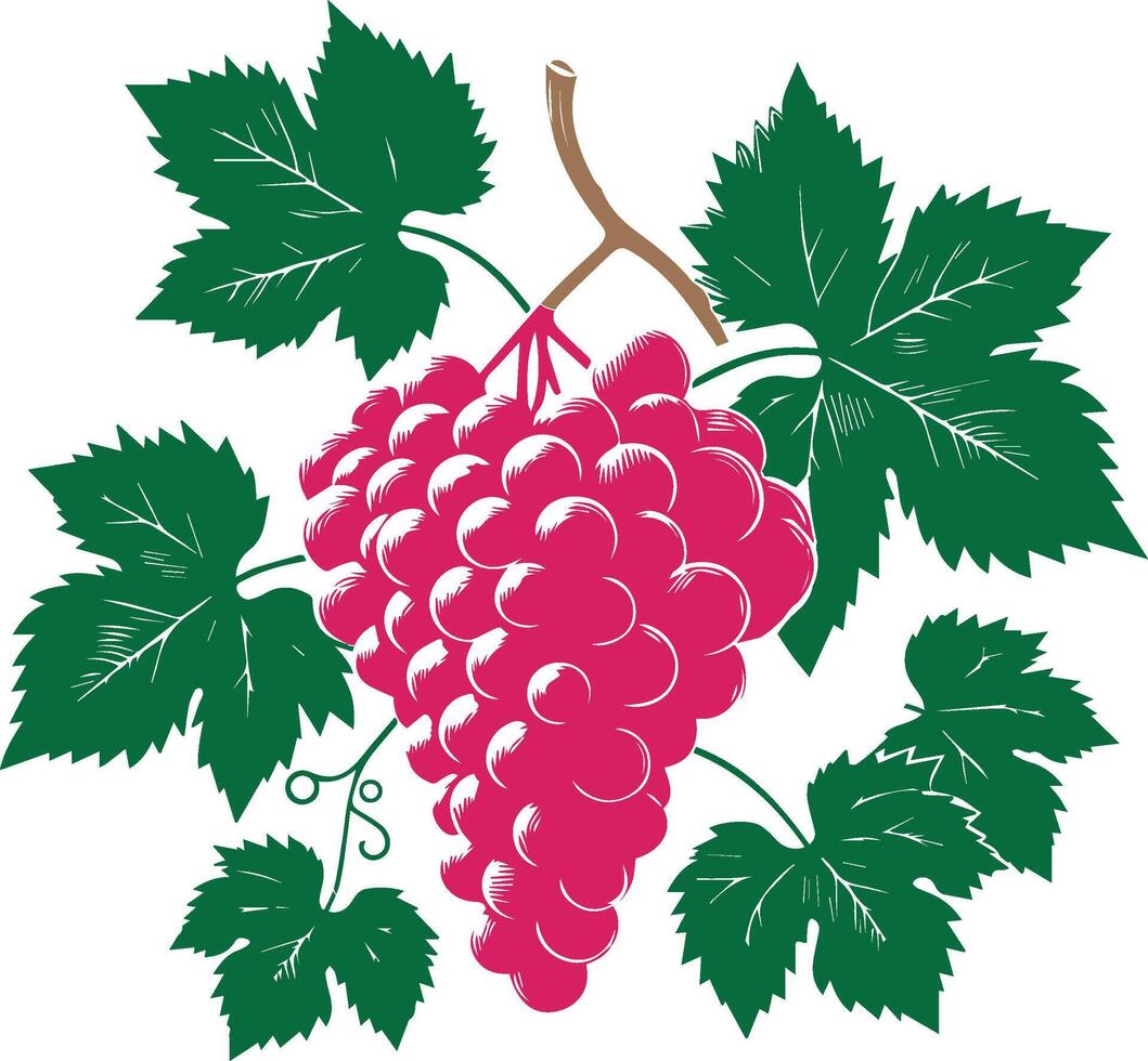 Sweet Grapes Art vector