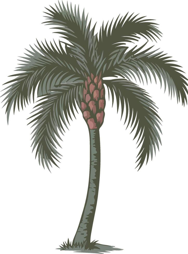 Palm Tree Icon vector