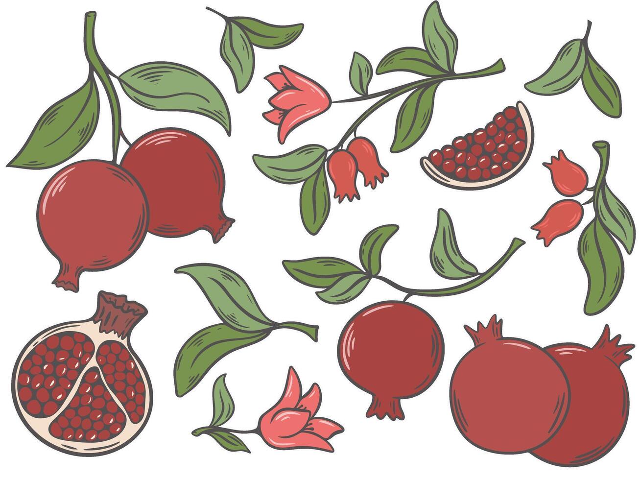 Ripe juicy pomegranates on branch with foliage, part of fruit, flowers and leaves set vector