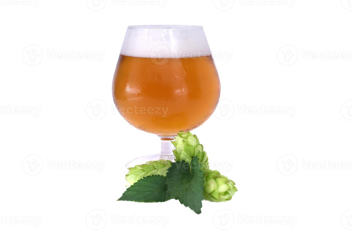 Craft beer in a glass with fresh hops and isolated on white background photo