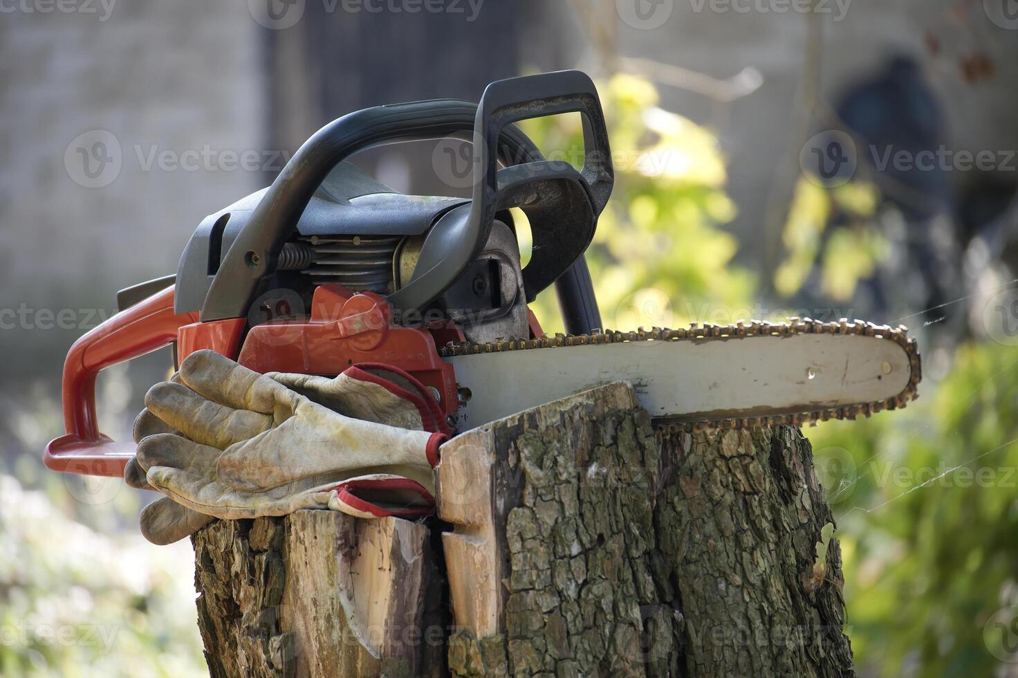 Chainsaw resting on a tree stump with work gloves in a sunny garden setting photo