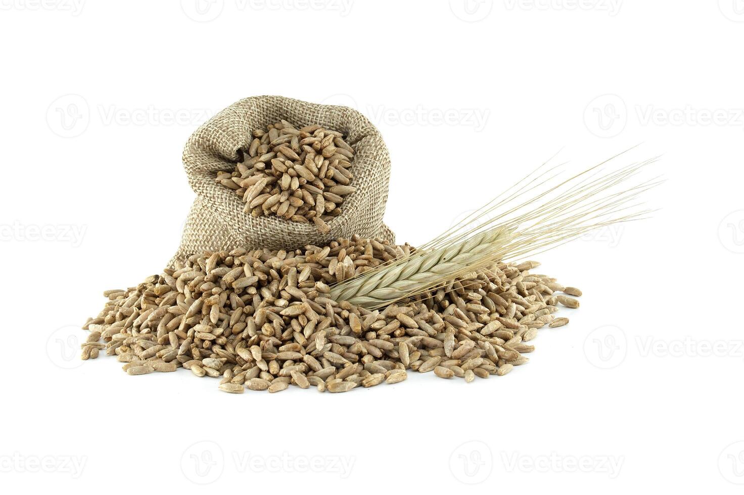 Pile of rye grains isolated on a white background photo