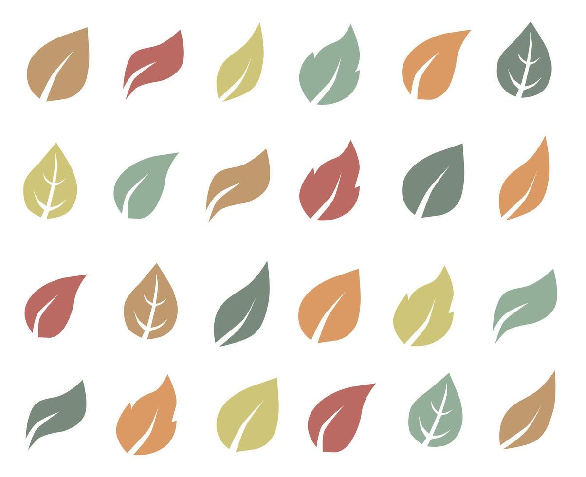 Autumn colorful leaves. Autumn design. vector