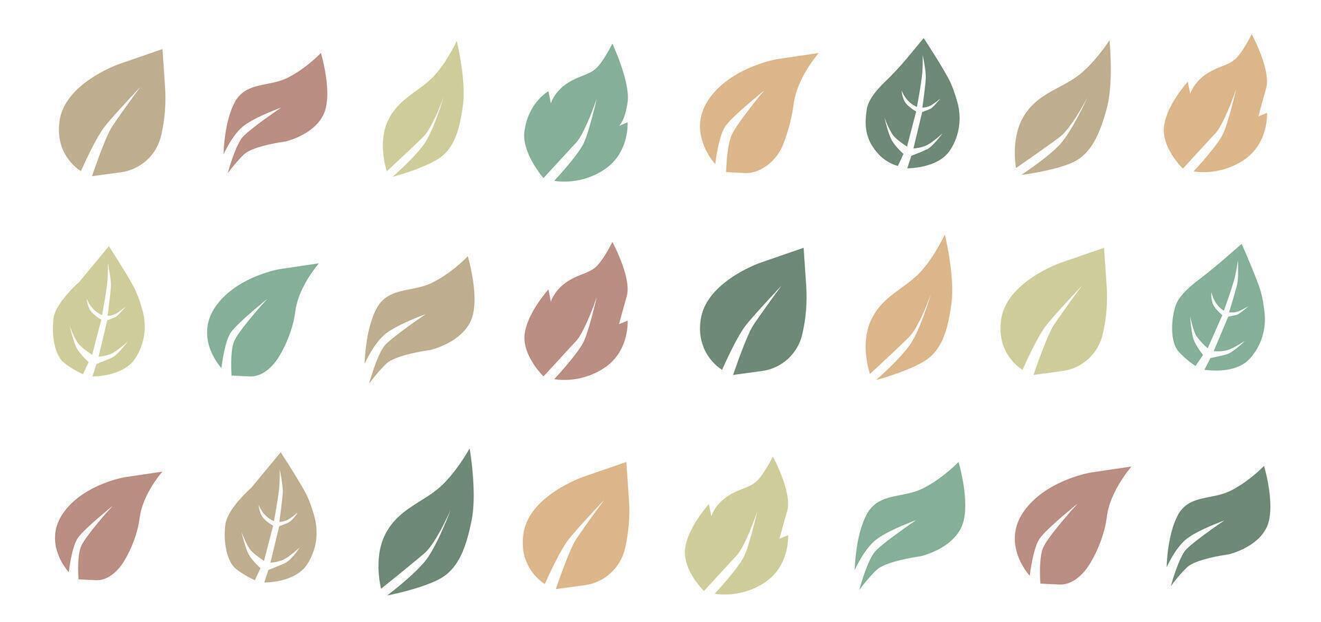 Autumn leaves. Set of colorful autumn leaves. Autumn design element. vector